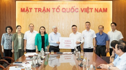 កាសែត Nhan Dan បរិច្ចាគ 500 លានដុងដល់ប្រជាជនដែលរងផលប៉ះពាល់ដោយព្យុះនិងទឹកជំនន់