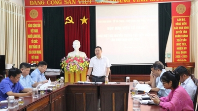 Báo Hòa Bình tổ chức Giải Việt dã truyền thống Cúp Báo Hòa Bình lần thứ 31