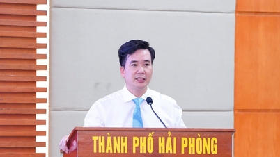 Ông Phạm Ngọc Dương giữ chức Giám đốc Sở Nội vụ thành phố Hải Phòng