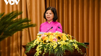 លោកស្រី Nguyen Huong Giang ត្រូវបានបោះឆ្នោតជ្រើសរើសឲ្យកាន់តំណែងជាប្រធានក្រុមប្រឹក្សាប្រជាជនខេត្ត Bac Ninh។