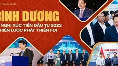 Phát triển chiến lược thu hút FDI trong bối cảnh thuế suất tối thiểu toàn cầu