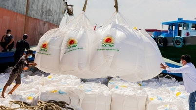 List of rice export traders as of October 8, 2024