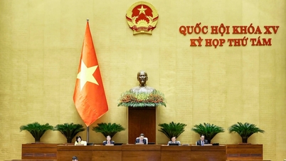 Establishment of Thuy Nguyen city in Hai Phong city