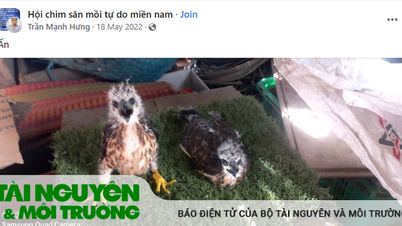 ការចាប់ខ្លួនអ្នកជួញដូរសត្វព្រៃ