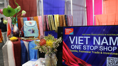 អូស្ត្រាលី​បង្កើន​ការ​នាំ​ចូល​វាយនភ័ណ្ឌ​ពី​វៀតណាម
