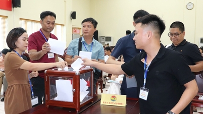 Hà Nội rà soát quy trình đấu giá 3 mỏ cát cao gấp trăm lần khởi điểm