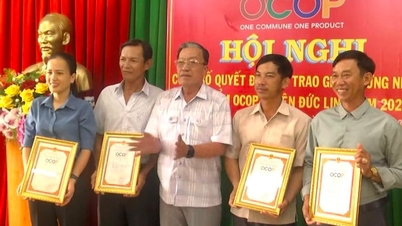 Duc Linh៖ ផលិតផលចំនួន 10 ទៀតដែលត្រូវបានទទួលស្គាល់ថាបានបំពេញតាមស្តង់ដារ OCOP លំដាប់ផ្កាយ 3
