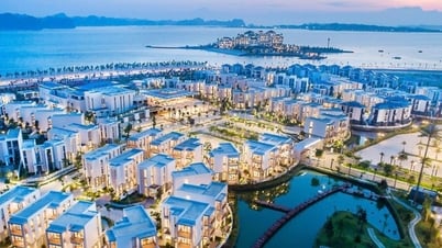 Đi đâu ở miền Bắc Việt Nam những ngày đẹp nhất năm?
