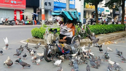 គាត់​លក់​សំបុត្រ​ឆ្នោត​បាន​ប្រាក់​២០​ម៉ឺន​ដុង​ក្នុង​មួយ​ថ្ងៃ ហើយ​ចំណាយ​៤៥.០០០​ដុង​លើ​ចំណី​ព្រាប។