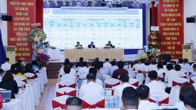 រៀបចំសាខាចំនួនបីទៅជាក្រុមហ៊ុនថ្មីចំនួនបីនៅឆ្នាំ 2024