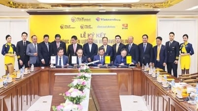 T&T Group wird strategischer Aktionär von Vietravel Airlines