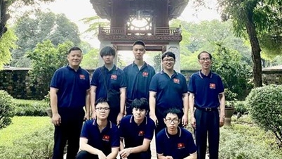 Việt Nam xếp thứ 6/112 quốc gia tại Olympic Toán học quốc tế năm 2023
