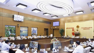 Government proposes special investment procedures when submitting amendments to 4 laws
