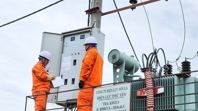 Thủ tướng chỉ đạo về điều hành giá điện và xem xét nhập khẩu điện nước ngoài