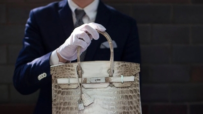 What is special about the albino Hermes handbag that Ms. Truong My Lan wants back?