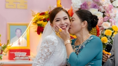 Nàng dâu Vĩnh Long thích ăn vú sữa, mẹ chồng mua luôn cây giống về trồng