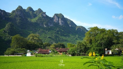 Thung lũng xanh cách Hà Nội 130km, khách tới ăn đặc sản, cắm trại, chèo thuyền