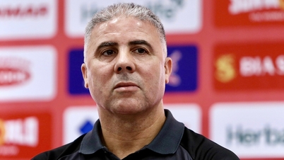 Palestine Coach: 'Vietnam hasn't changed much since Park Hang-seo's time'
