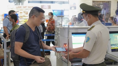 Nợ thuế bao nhiêu mới cấm xuất cảnh?