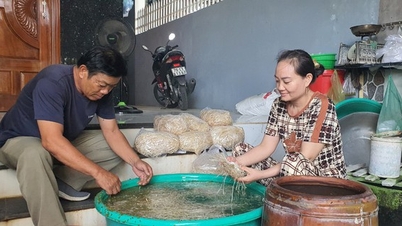 ស្ត្រី​នៅ Khanh Hoa រក​ប្រាក់​បាន​ច្រើន​ដោយ​ការ​បណ្តុះ​គ្រាប់​ពន្លក​ក្នុង​ពាង។