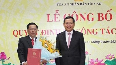 Announcement of the decision of the Chief Justice of the Supreme People's Court on personnel work