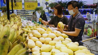 Effective inflation control, CPI nationwide increases by 3.25% in 2023