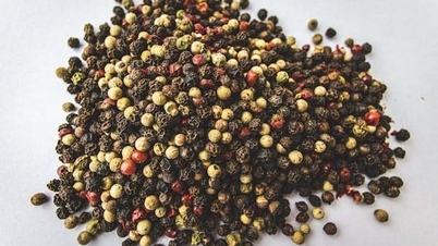 Nối tiếp đà giảm quay về mốc 150.000 đồng/kg?