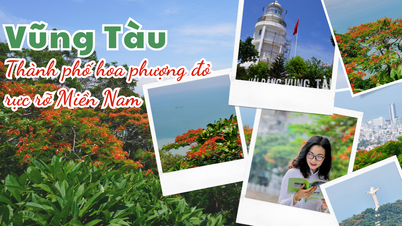 Vung Tau - ទីក្រុងផ្កា phoenix ក្រហមនៃភាគខាងត្បូង