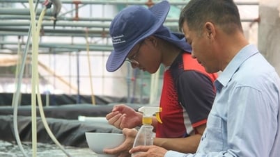 Gia hạn cho thuê đất kịp thời dân mới yên tâm đầu tư