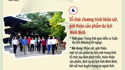 Infographics Chương trình hoạt động Tuần Du lịch Ninh Bình năm 2023