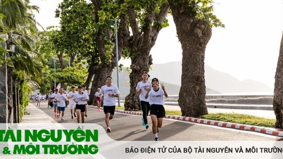 ចូលរួមចំណែកក្នុងការអភិរក្សអណ្តើក