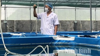 Đông Sơn phát triển sản phẩm OCOP góp phần xây dựng nông thôn mới