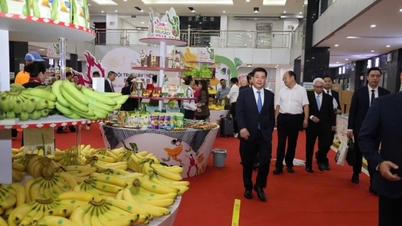 Nhiều doanh nghiệp Việt mang tinh hoa 'tứ quý mỹ vị' tới lễ hội trái cây tại Trung Quốc