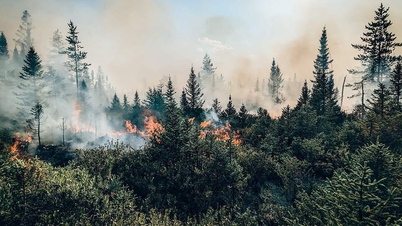 Cháy rừng Canada thải ra hơn 1 tỷ tấn CO2