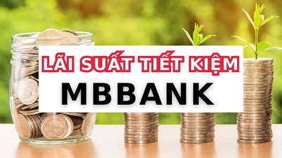 Gửi tiết kiệm 500 triệu tại MBBank trong 24 tháng nhận tới 57 triệu đồng