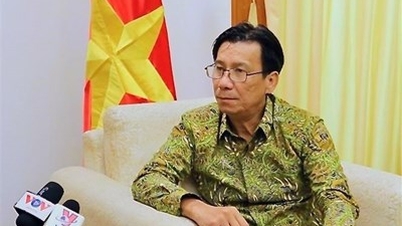 Vietnamese Ambassador to Indonesia Ta Van Thong: Vietnam-Indonesia strategic partnership develops strongly in all fields