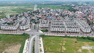 Cỏ mọc um tùm trong nhà liền kề chục tỷ tại dự án Sơn Đồng Center