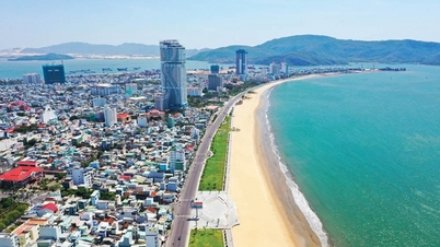 Bình Định chuẩn bị đấu giá hơn 200 lô đất với giá từ 3,6 triệu đồng/m2