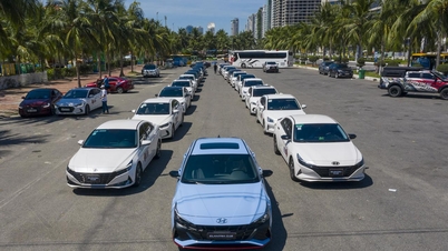 ក្រុមហ៊ុន Hyundai Elantra ជាង 50 គ្រឿងបានដង្ហែរក្បួនដើម្បីអបអរសាទរការបង្កើតក្លឹប Vietnam Elantra
