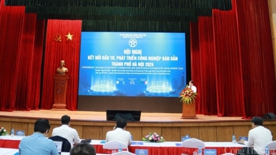 ហាណូយមានឱកាសជាច្រើនដើម្បីអភិវឌ្ឍឧស្សាហកម្ម semiconductor ។