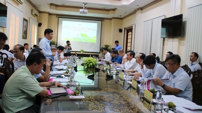 Dong Thap បង្កើនសមត្ថភាពអណ្តូងរ៉ែខ្សាច់ ដើម្បីបម្រើគម្រោងផ្លូវល្បឿនលឿន Can Tho
