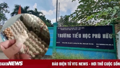 Trường Tiểu học bác tin dùng thực phẩm bẩn, ngưng hợp đồng với công ty đồ ăn