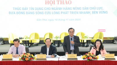 Diskussion von Lösungen zur Förderung von Krediten für wichtige Agrarprodukte im Mekong-Delta