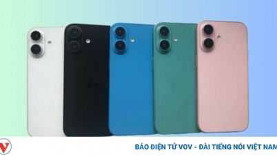Des images de l'iPhone 16 dévoilées avec 5 options de couleurs et un design attrayant