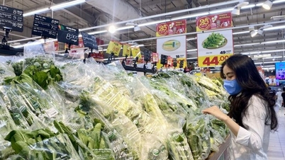 Việt Nam ngày càng quan tâm đến sản xuất tiêu dùng xanh