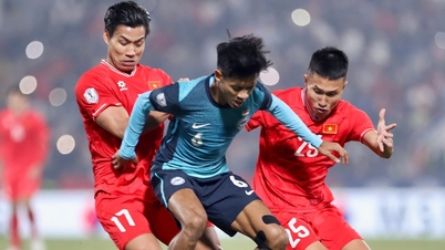 Singapore coach does not blame the referee, wishes the Vietnamese team good luck in the final