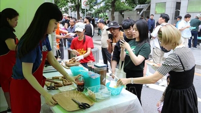 Vietnamese Pho and Fried Spring Rolls Make Impressions at Seoul Friendship Festival 2024