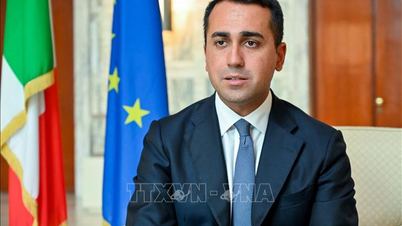 EU appoints first special representative to the Gulf
