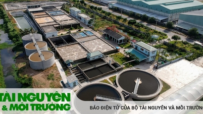 Bộ TN&MT ban hành quy trình nội bộ thực hiện 11 thủ tục hành chính về bảo vệ môi trường