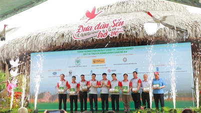 រដ្ឋាភិបាលវៀតណាម រួមដៃគ្នាថែរក្សាសត្វក្រៀលក្រហម
